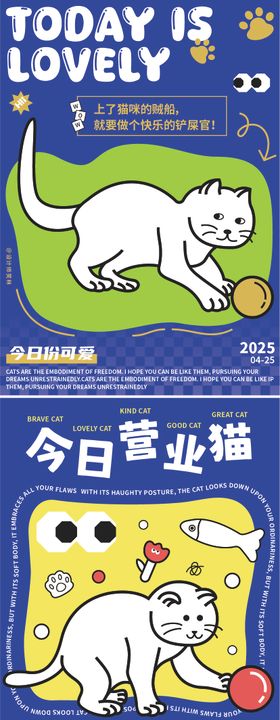 0425 今日营业猫
