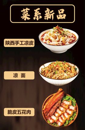 菜系新品