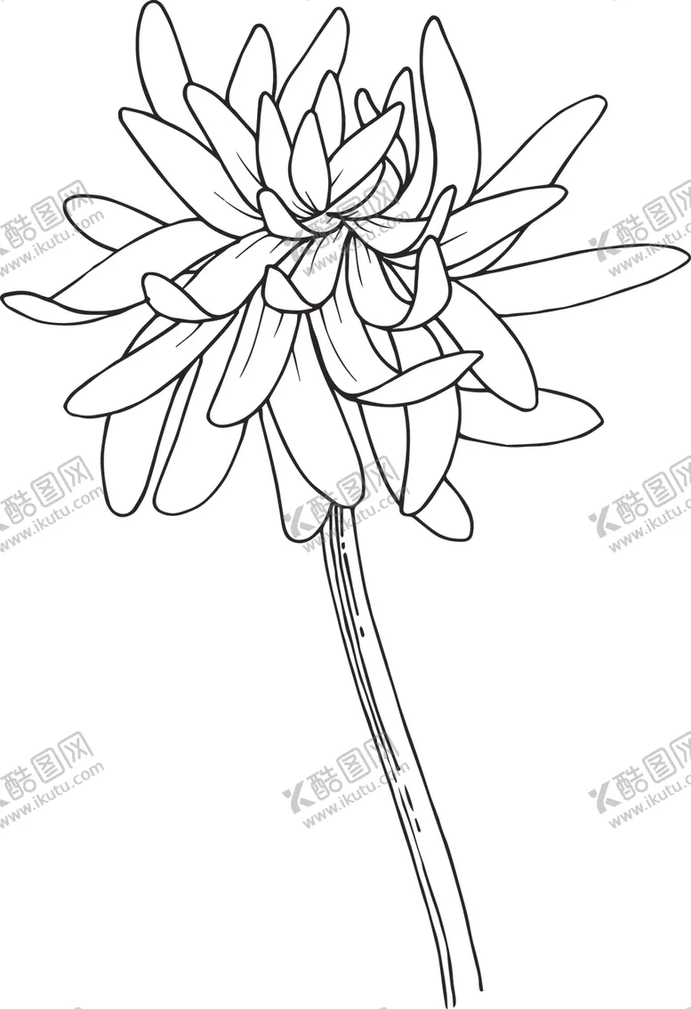 编号：59599212131344429209【酷图网】源文件下载-白描植物