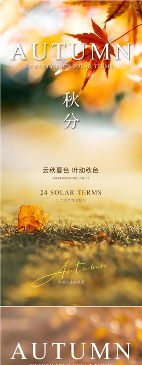 秋分节气系列海报风景简约二十四落叶