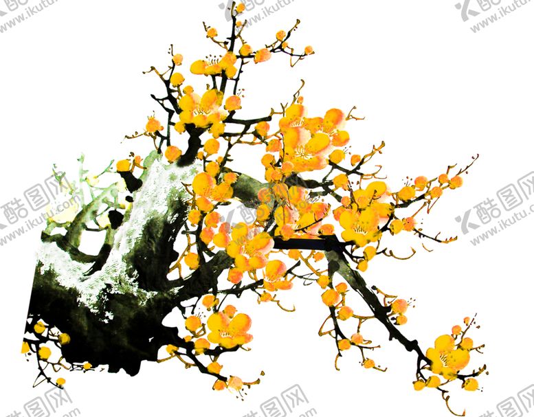 编号：96860009171648518916【酷图网】源文件下载-花素材