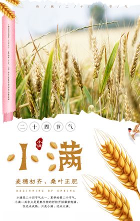 小满海报