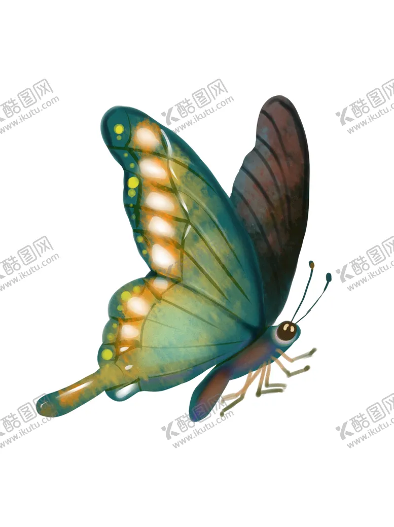 编号：59680310052331213158【酷图网】源文件下载-蝴蝶插图图片  
