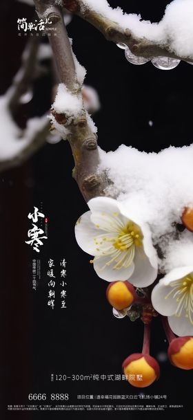 小寒大寒中式地产海报