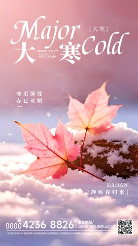 大寒房地产海报