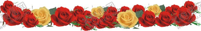 编号：90558502151517312238【酷图网】源文件下载-玫瑰花