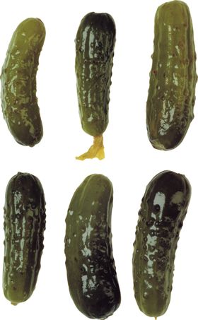 黄瓜