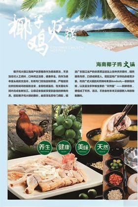 椰子鸡火锅美食展板设计广