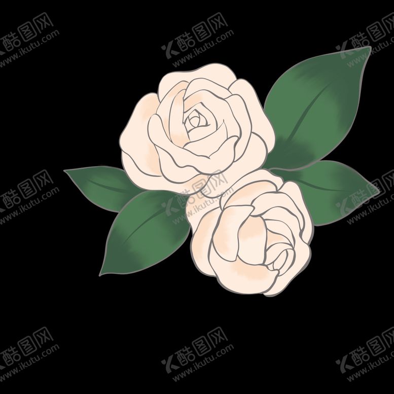 编号：54360109252329232795【酷图网】源文件下载-白玫瑰