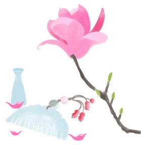 玉兰插画