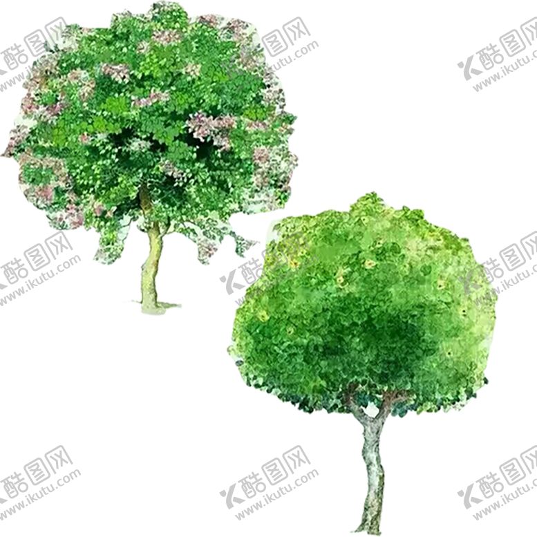 编号：81371209290801515055【酷图网】源文件下载-绿色植物