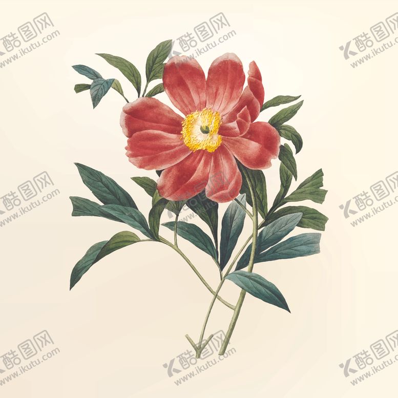 编号：47651510090526402725【酷图网】源文件下载-花纹