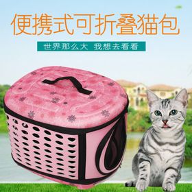 猫包淘宝主图模板