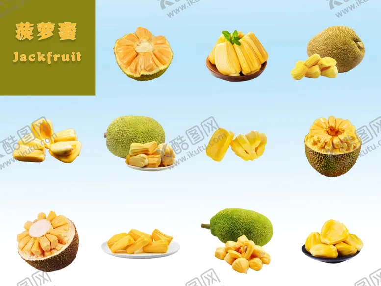 编号：91661006300522007021【酷图网】源文件下载-菠萝蜜
