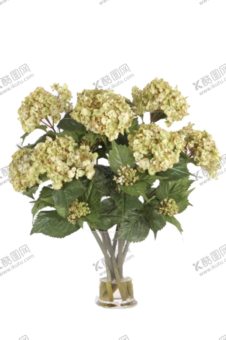 编号：59340306160231449491【酷图网】源文件下载-免抠背景花草树木
