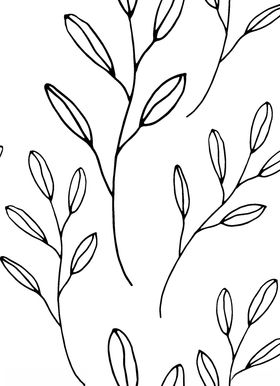 黑白简约线条植物绘画
