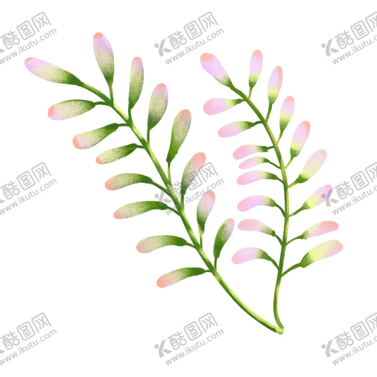 编号：11685406242128522568【酷图网】源文件下载-槐花