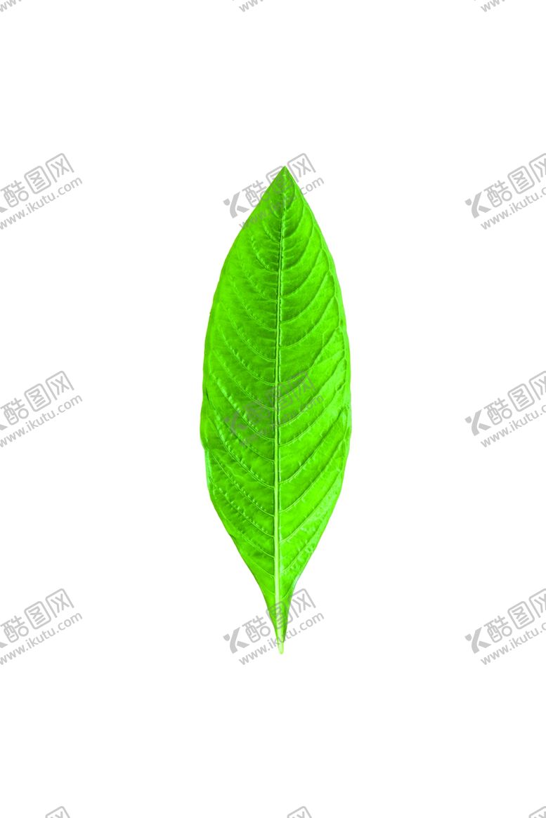 编号：88038109240320025222【酷图网】源文件下载-背景墙装饰画