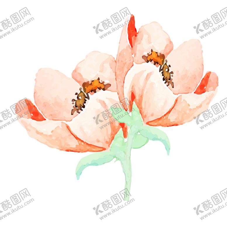 编号：42324405131722276885【酷图网】源文件下载-鲜花素材