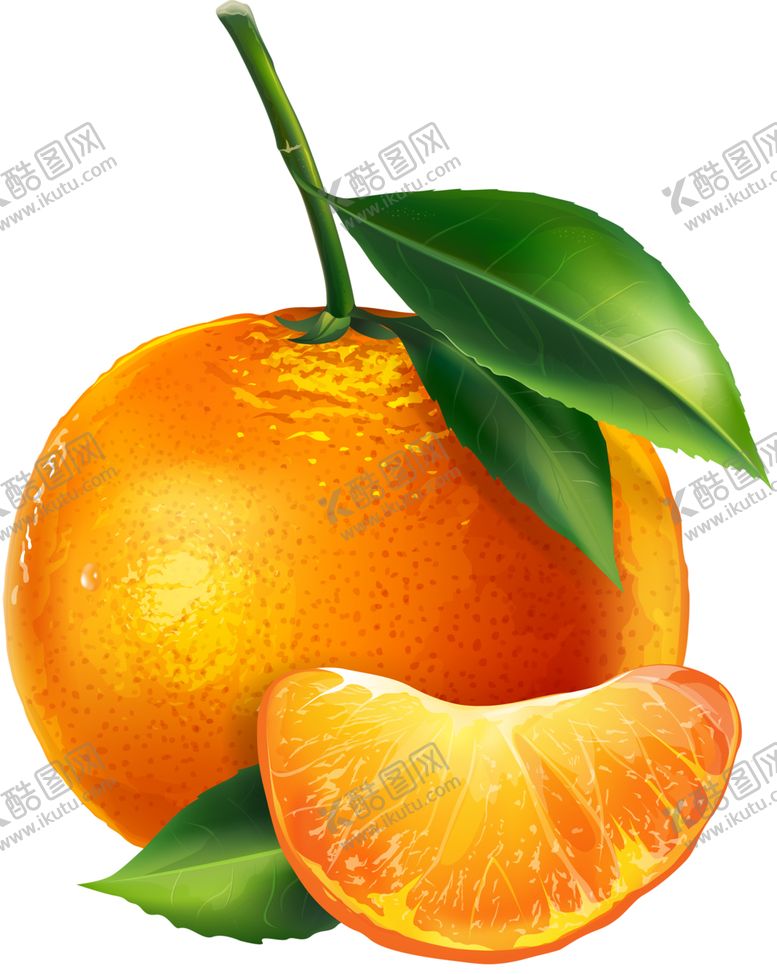 编号：30512110060408533060【酷图网】源文件下载-水果