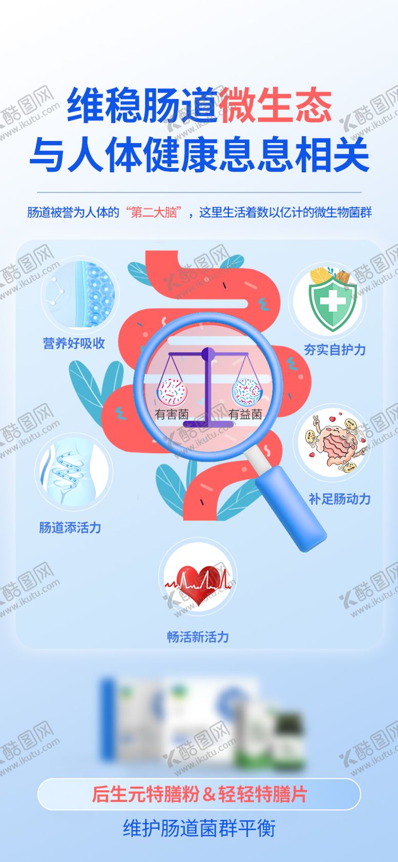 编号：78965209291932512770【酷图网】源文件下载-肠道产品海报