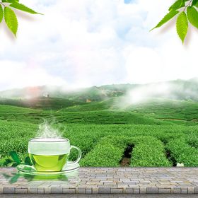 淘宝主图边框背景双十一促销模板