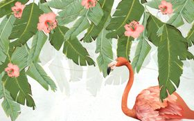 植物背景墙