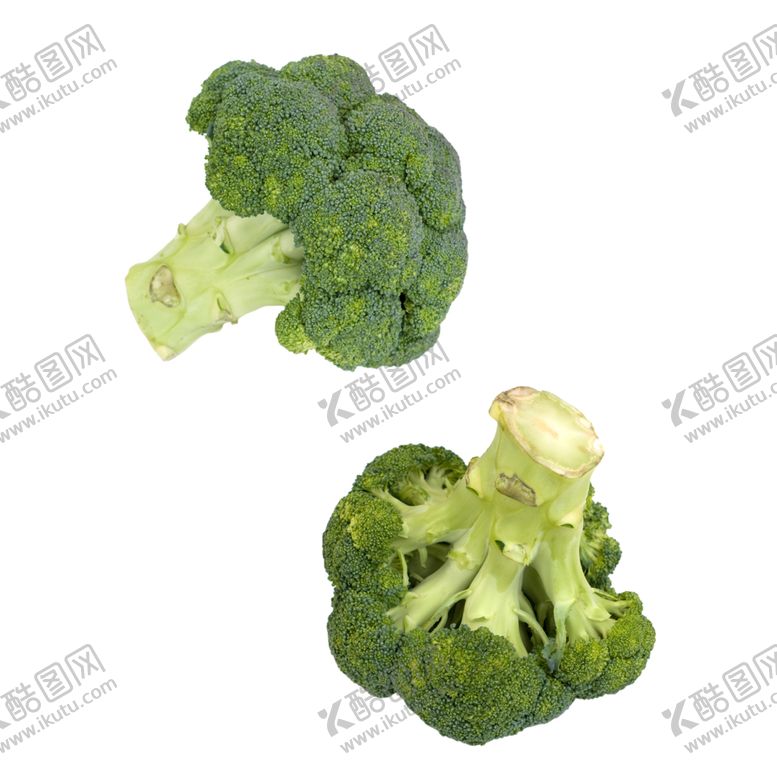 编号：70092501250834216695【酷图网】源文件下载-花菜新鲜