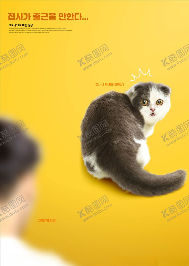 编号：69632005182212181097【酷图网】源文件下载-宠物店