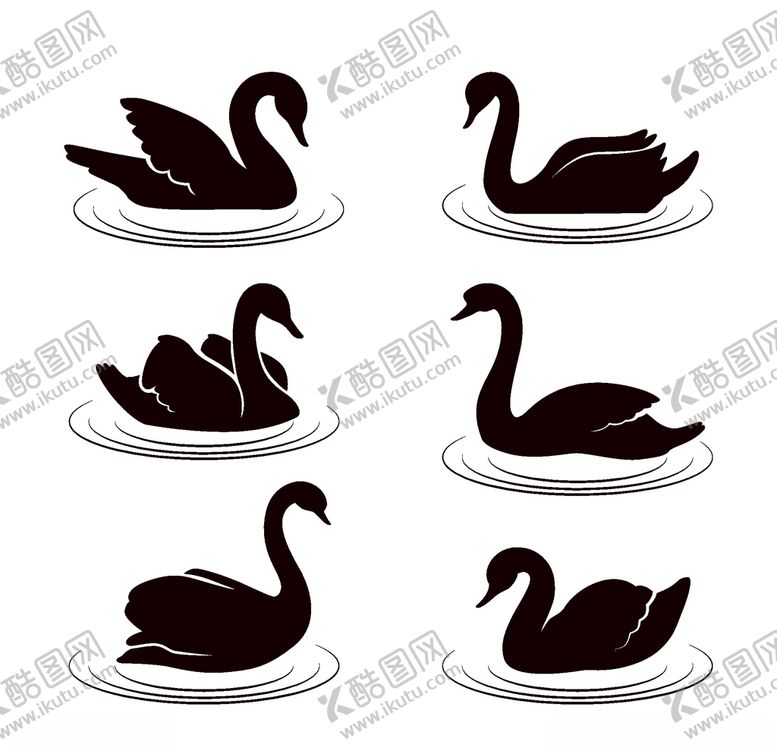 编号：36263009290645507756【酷图网】源文件下载-天鹅