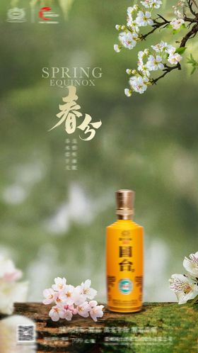 春分节气海报