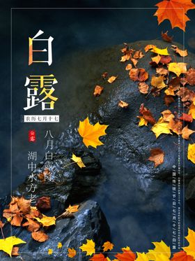 白露节气寒海报