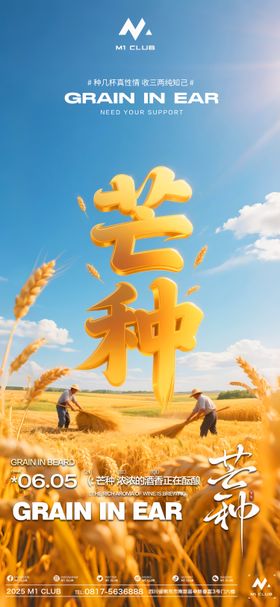 酒吧夜店KTV小厅酒吧芒种海报