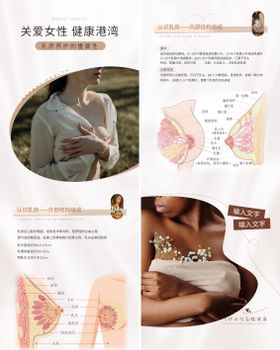 乳房结构海报