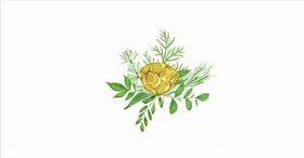 油菜花