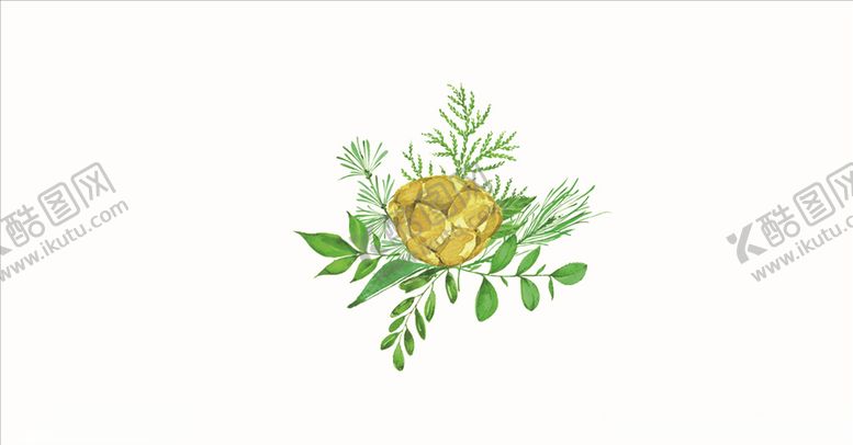 编号：59653210212136016981【酷图网】源文件下载-油菜花