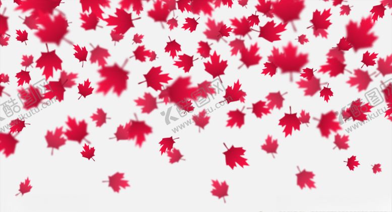 编号：22639609292123215058【酷图网】源文件下载-树叶背景