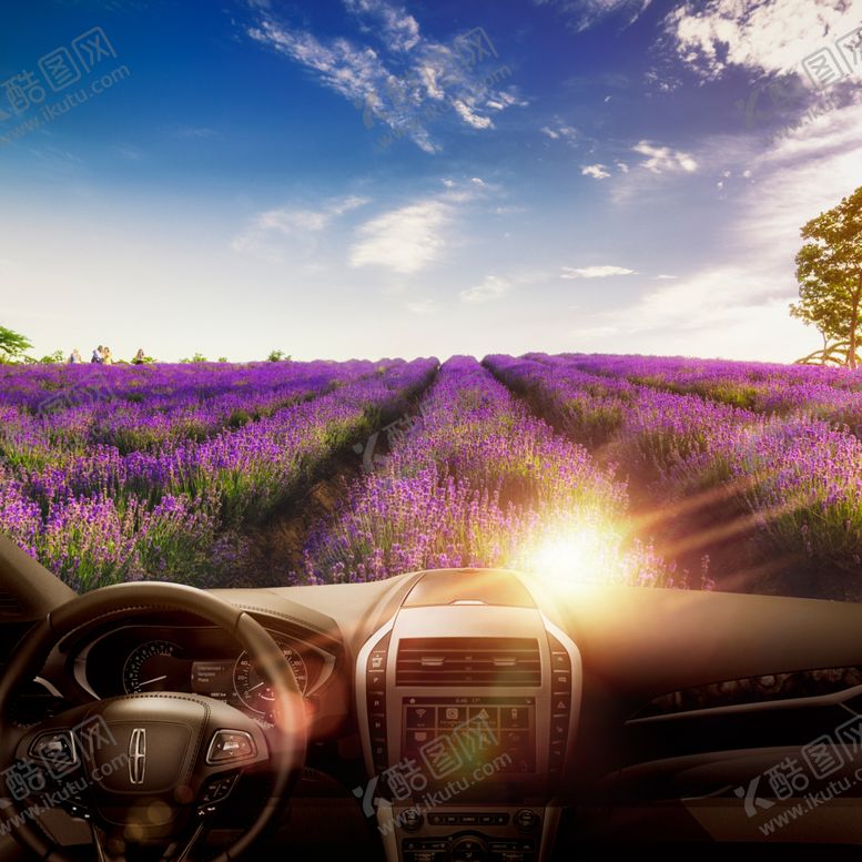 编号：58269110092032501325【酷图网】源文件下载-林肯薰衣草