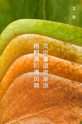 立秋24节气高端节气稿天海报海报