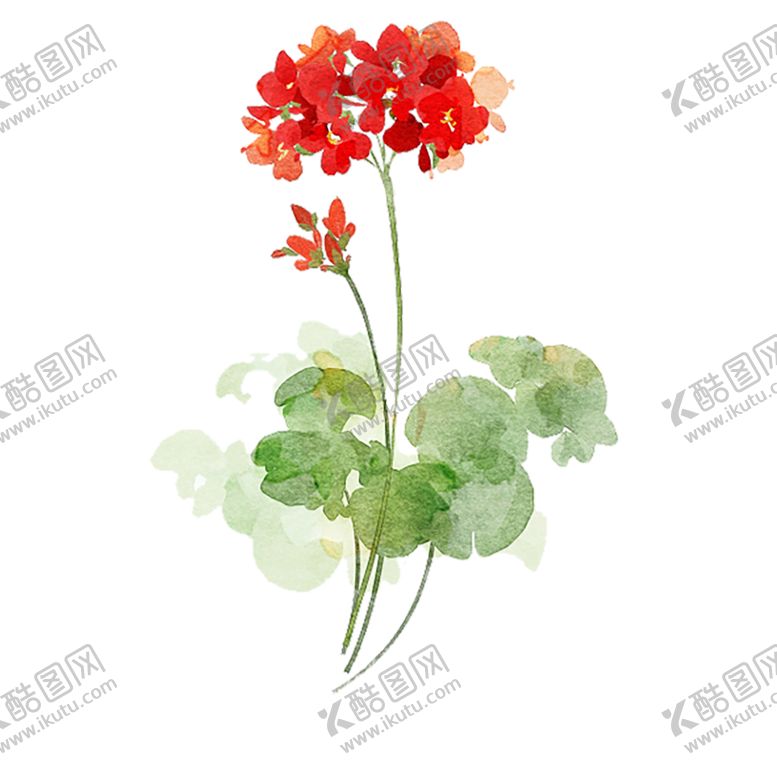编号：80403009091120026554【酷图网】源文件下载-绿色装饰