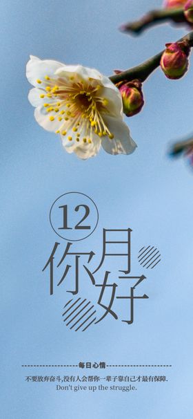 你好12月