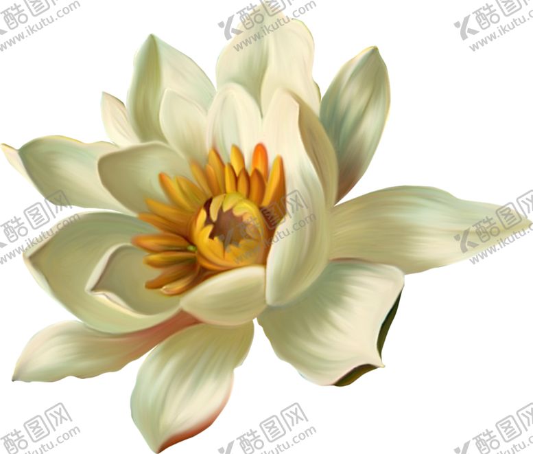 编号：34095609161811238894【酷图网】源文件下载-莲花
