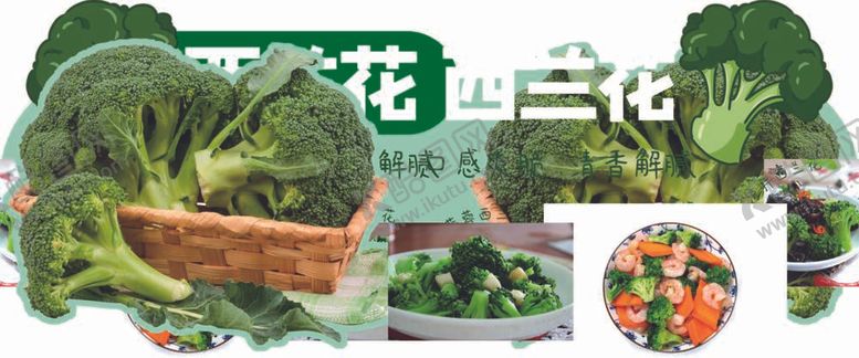 编号：96701711251326336514【酷图网】源文件下载-西兰花