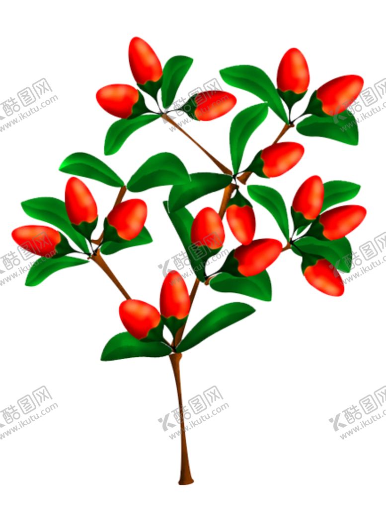 编号：83083910170329464078【酷图网】源文件下载-手绘一支枸杞