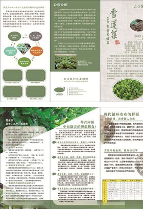 绿色三折页