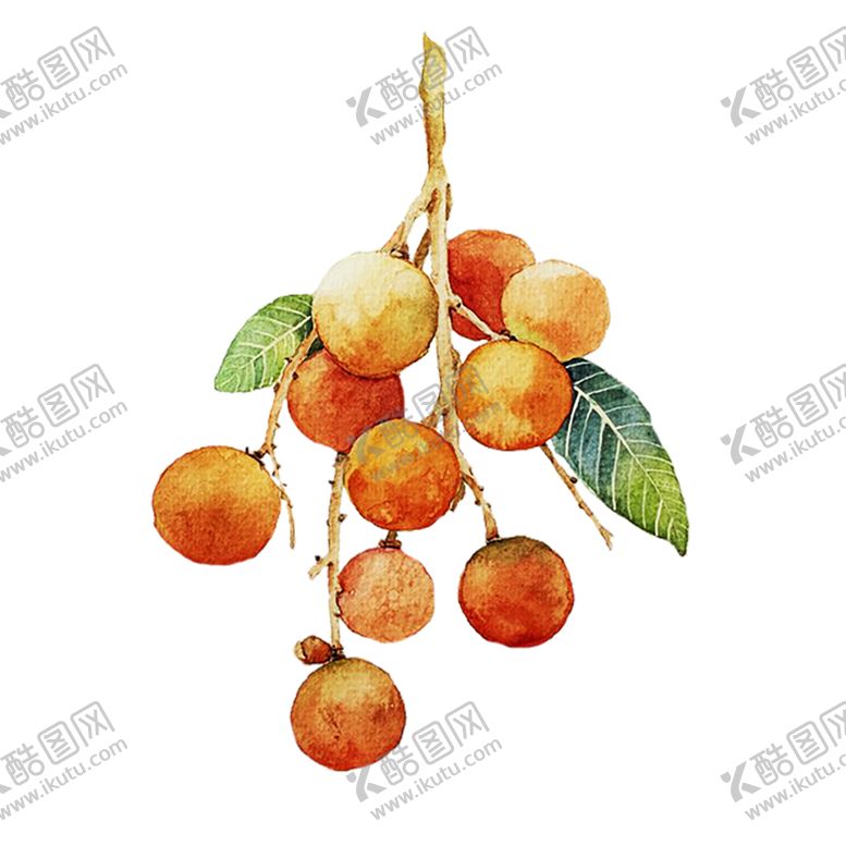 编号：43559309150024037216【酷图网】源文件下载-水果