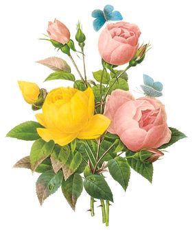 植物花卉油画装饰画