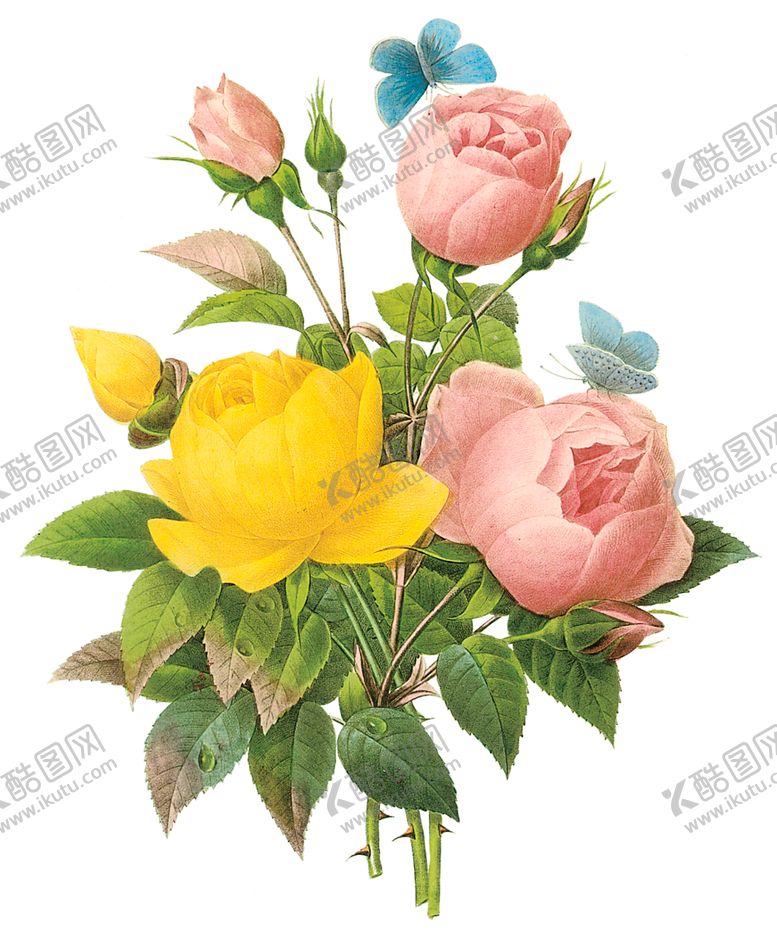 编号：77642010271504469951【酷图网】源文件下载-植物花卉油画装饰画