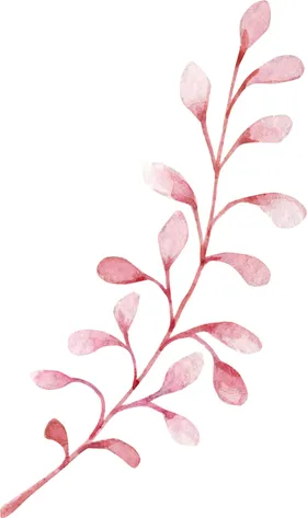 水彩绘画花朵树枝装饰