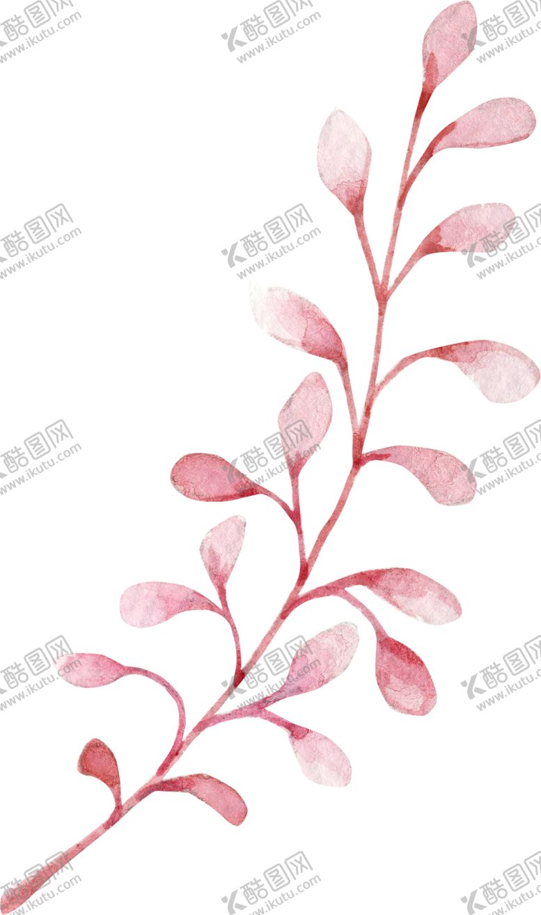 编号：48272410241847599336【酷图网】源文件下载-水彩绘画花朵树枝装饰